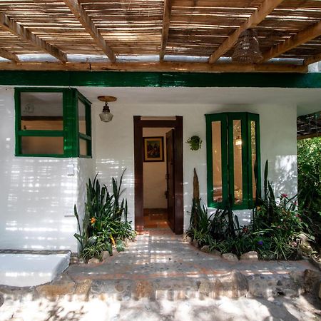 Finca Los Abuelos - La Planta Concepcion ภายนอก รูปภาพ