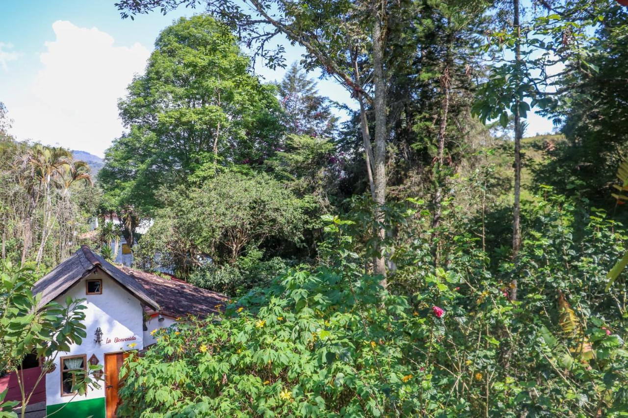 Finca Los Abuelos - La Planta Concepcion ภายนอก รูปภาพ