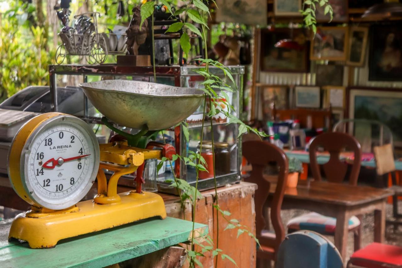 Finca Los Abuelos - La Planta Concepcion ภายนอก รูปภาพ